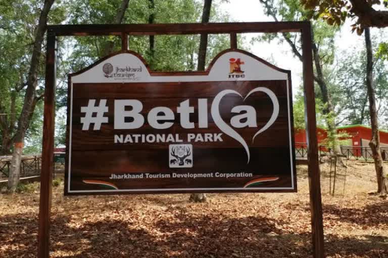 Betla National Park