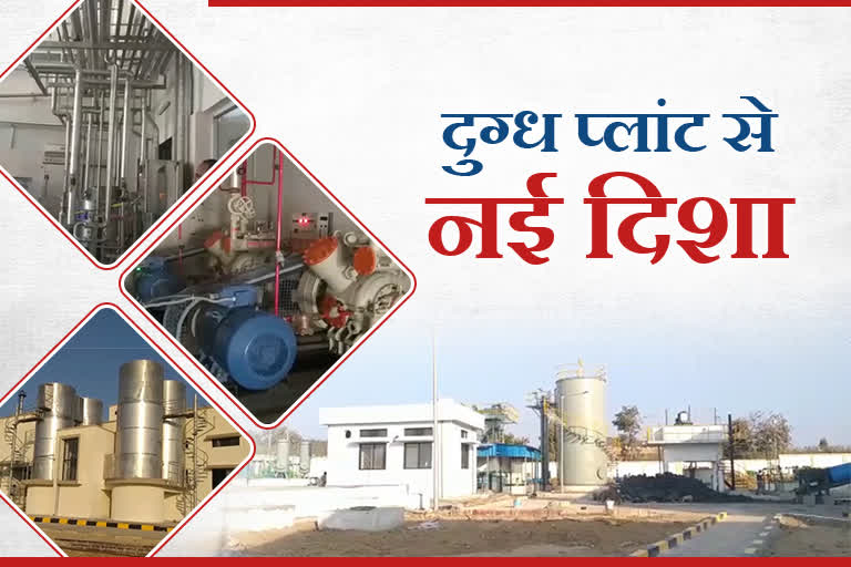 trial-of-milk-processing-plant-in-palamu-quality-check-of-products-pending