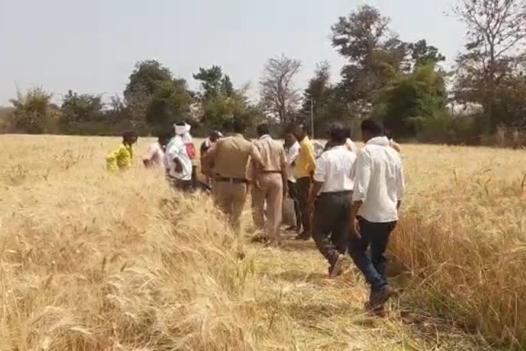 One Died in Tiger Attack