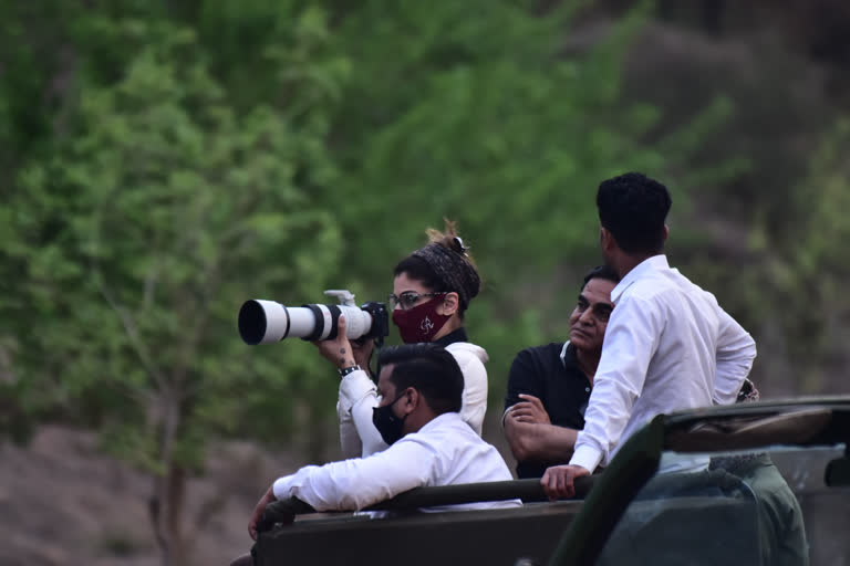 Stars in Jhalana Safari Park