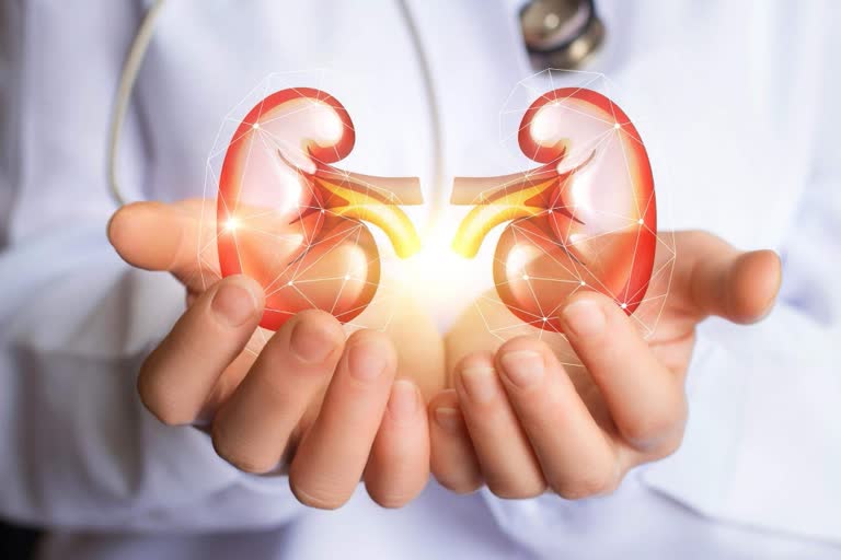 world kidney day 2022