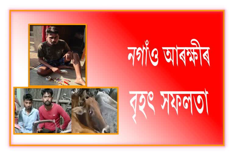 drug-peddler-and-cattle-smuggler-arrested-by-nagaon-police