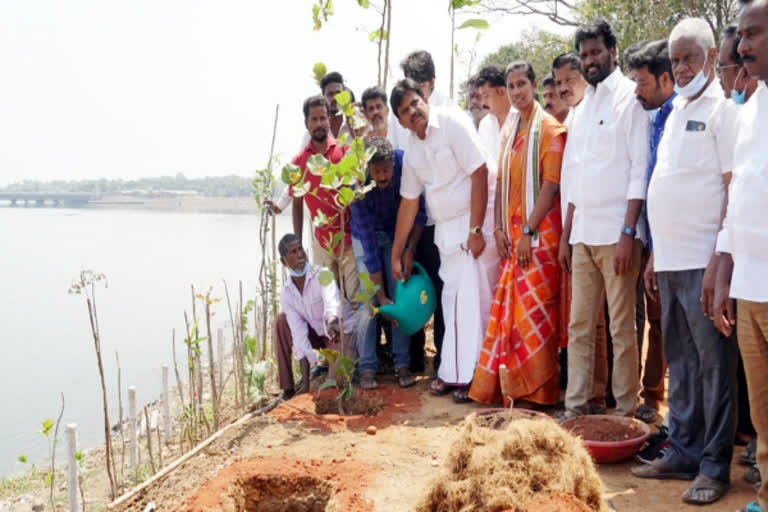 அடையாறு ஆற்றங்கரையோரம் 60,000 மரக்கன்றுகள் - துணைமேயர் மகேஷ் குமார்