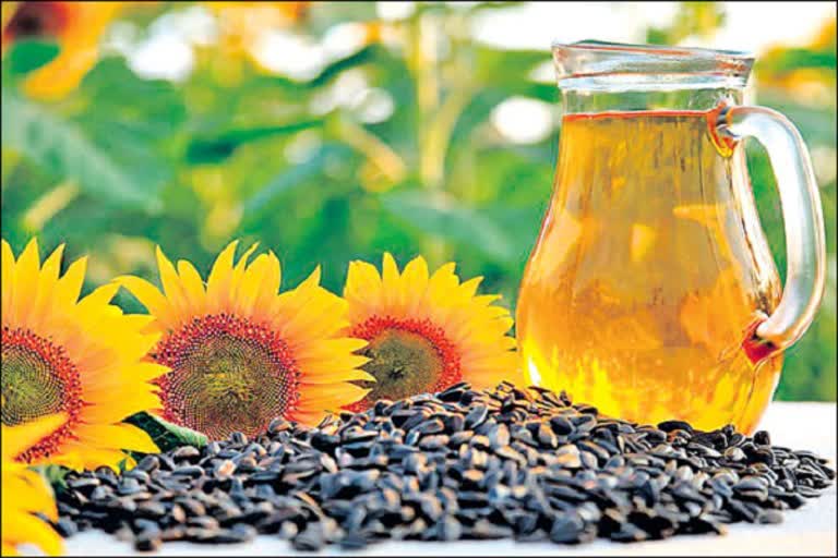 sun flower farming will be profitable for farmers