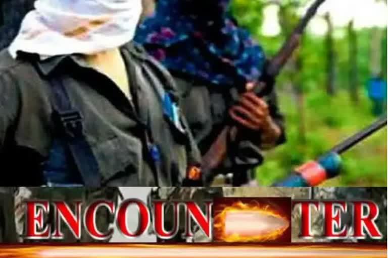 Naxalite killed in encounter in Bijapur