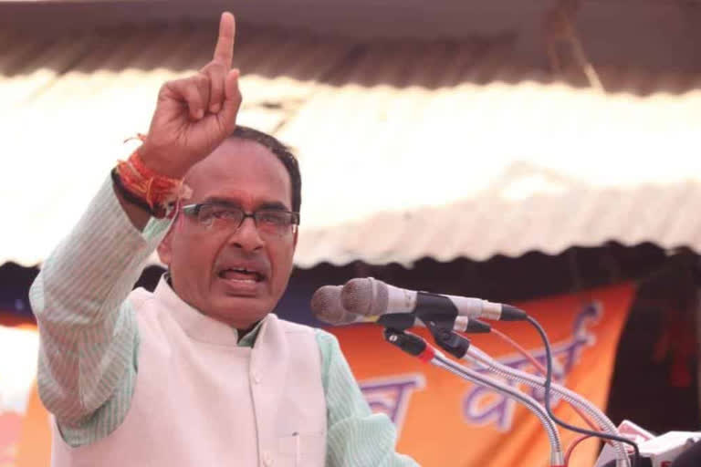 BJP's election wins 'defeat of appeasement politics', says Shivraj Singh Chouhan