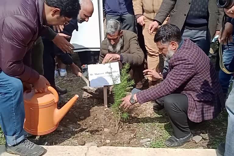 Plantation Drive at GDC Tral: گورنمنٹ ڈگری کالج ترال میں شجر کاری مہم