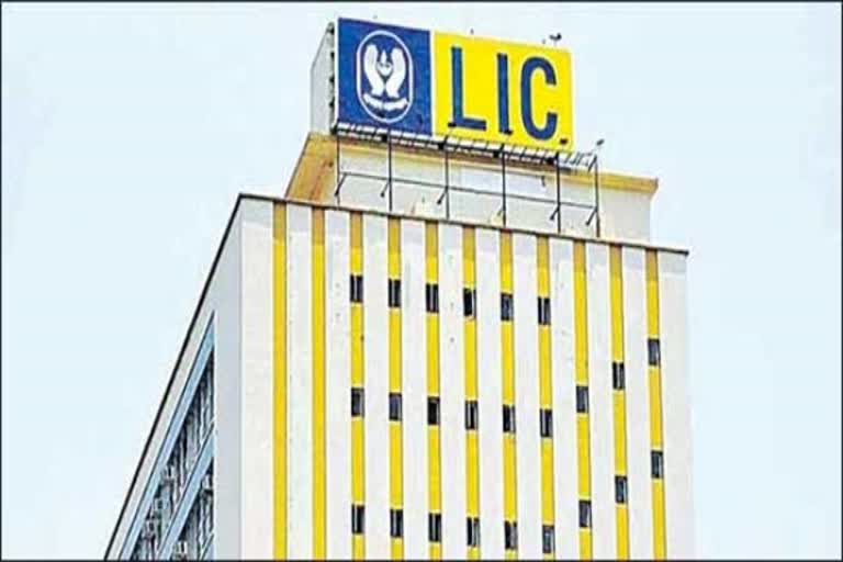 lic ipo