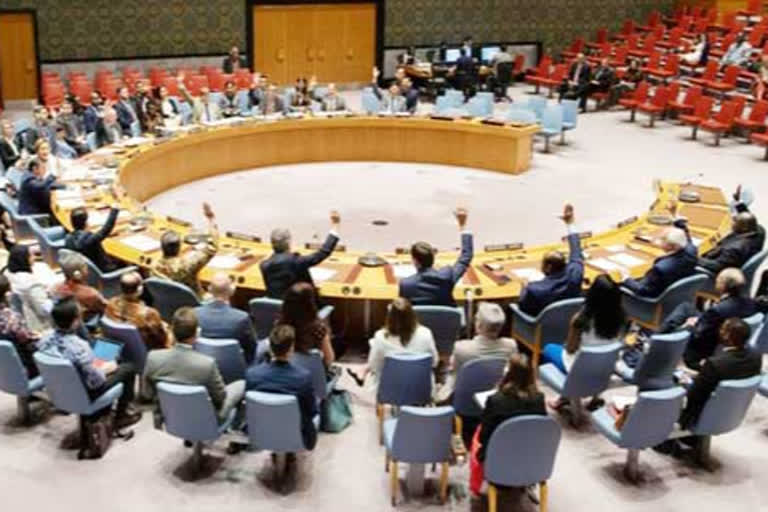 India at UNSC meet over Ukraine emphasises to adhere to conventions on biological weapons