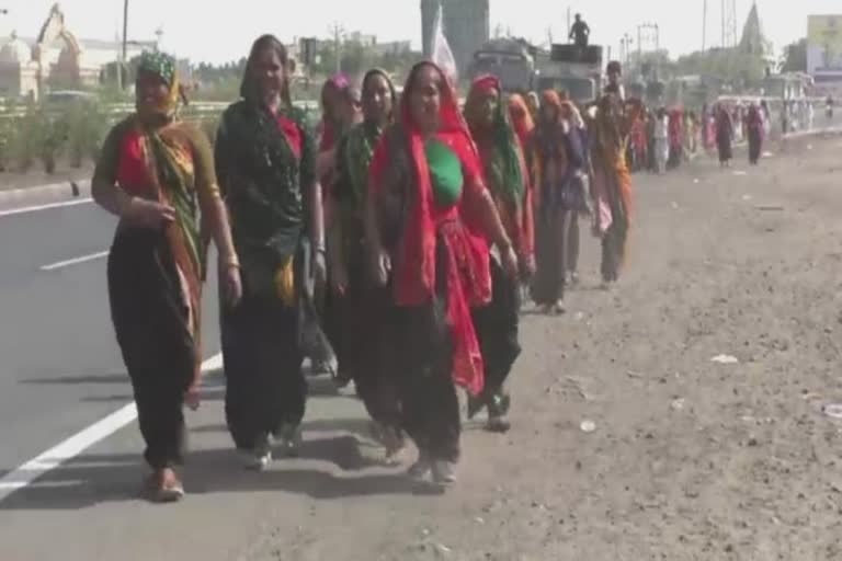 Fuldol festival in Dwarka: દ્વારકામાં ફૂલડોલ ઉત્સવ મનાવવા માનવ મહેરામણ ઉમટ્યું