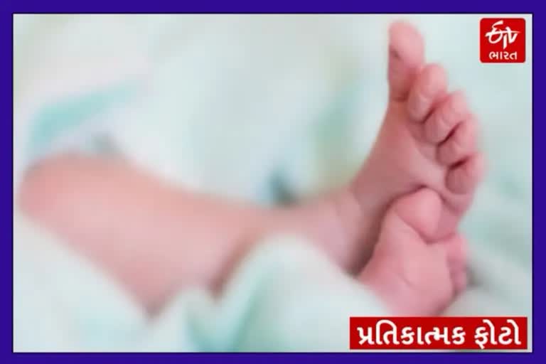 Dead newborns in garbage: ડિવાઈડર નજીક પડેલા કચરામાંથી મૃત હાલતમાં નવજાત શિશુ મળી આવ્યું