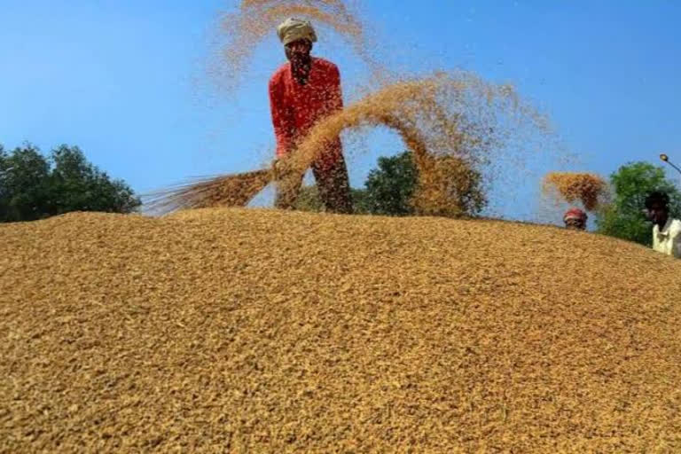 The target of purchasing 1 million metric tons of paddy in Assam is far away