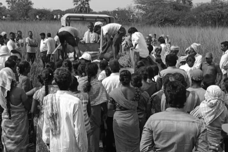 Three members of the same family fell into a pond and died