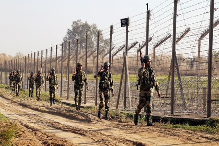 2 Pak nationals held by BSF at Indo-Pak border