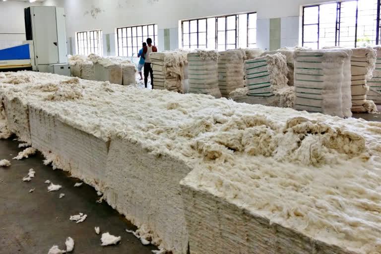 How 50 paise per kg fund helped KVIC manage steep rise in cotton prices