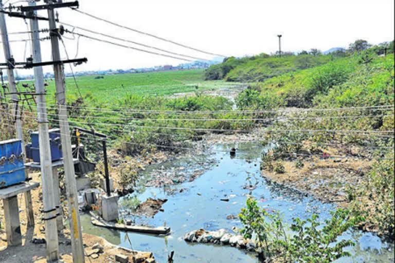 pollution of Ponds in Telangana