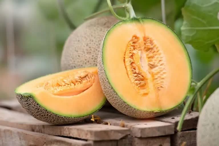 Health Benefits of Muskmelon