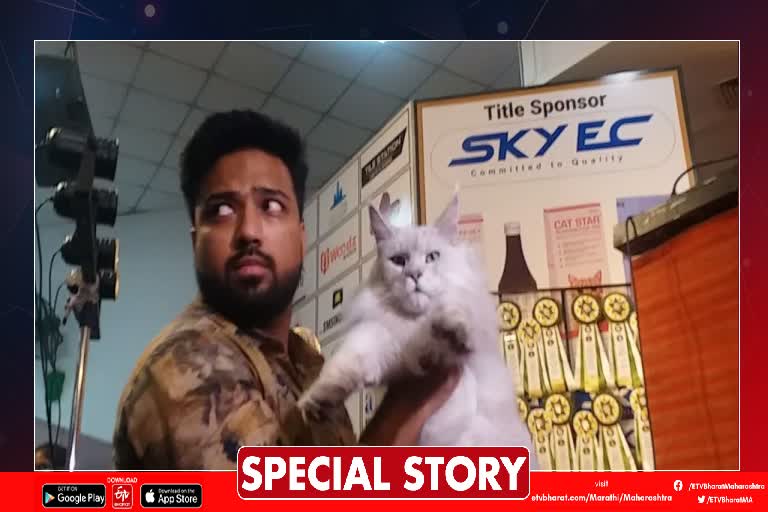 Cat Show in Nagpur