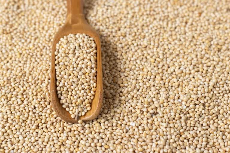 Eating Millets Leads To Better Growth In Children, how are millets good for health, what are the benefits of millets, can i replace rice with millets, health benefits of millets for kids, healthy food tips