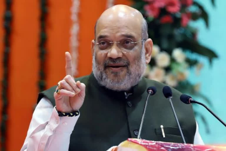 BJP appoints Union ministers Amit Shah,