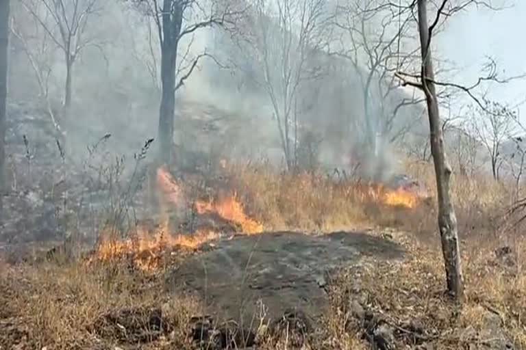 forest fire Walayar  Efforts extinguish forest fire Palakkad  വാളയാർ വനത്തിലെ കാട്ടുതീ അണയ്ക്കാനുള്ള ശ്രമം  കാട്ടുതീ അണയ്ക്കാനുള്ള ശ്രമം തുടരുന്നു  വടശേരി മോഴമണ്ഡപം മലയില്‍ കാട്ടുതീ പടരുന്നു