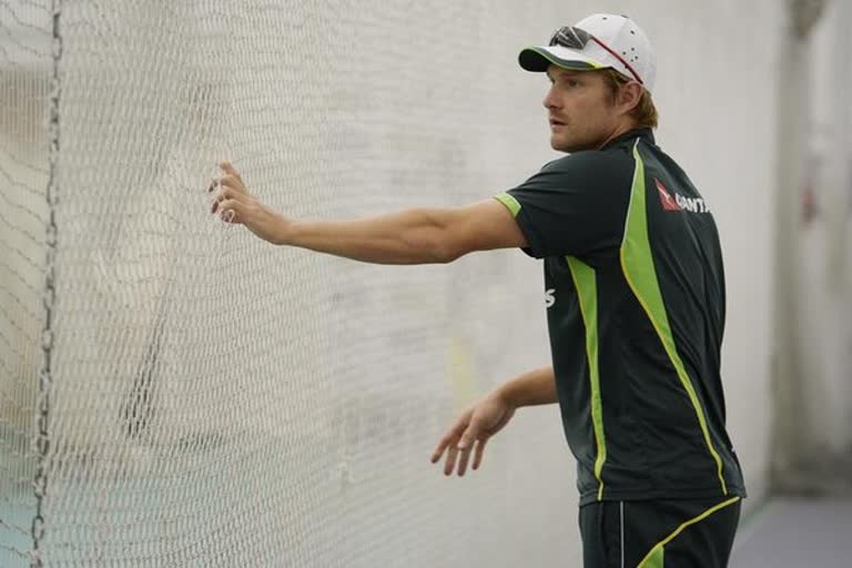 Delhi Capitals name assistant coach, Shane Watson Delhi Capitals, Delhi Capitals coach Shane Watson, IPL news