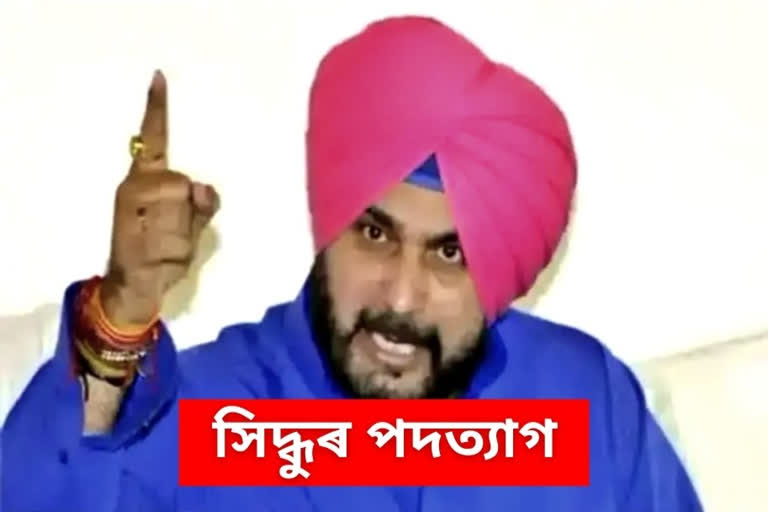 Punjab Congress Chief