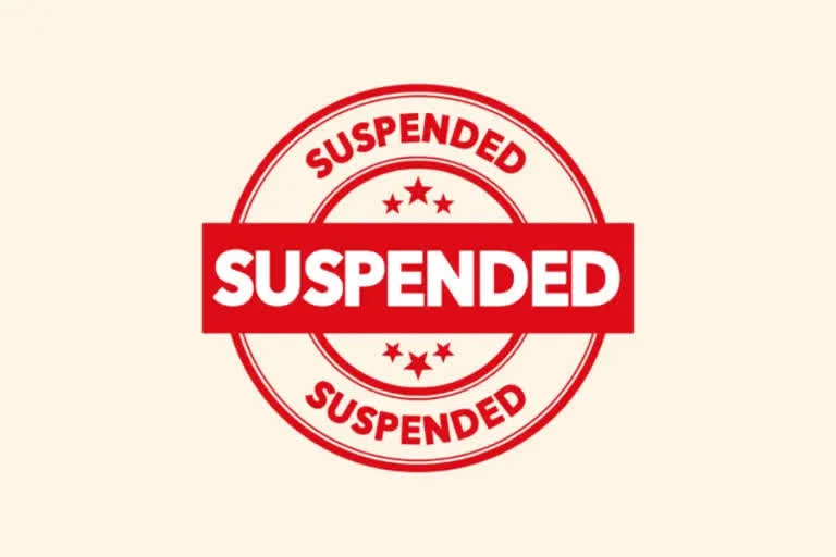 si suspension