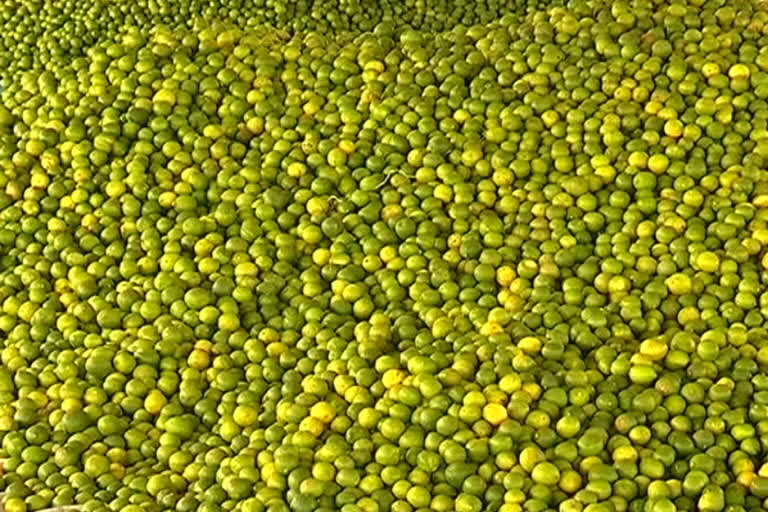 Lemon Farmers losses