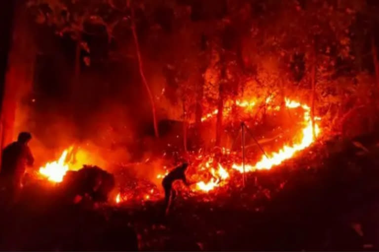 fire in silent valley  forest fire in kerala  forest officers endeavor to douse fire in silent valley  സൈലന്‍റ് വാലിയിലെ കാട്ടുതീ  സൈലന്‍റ് വാലിയിലെ കാട്ടുതീ കെടുത്താനുള്ള ശ്രമങ്ങള്‍  കേരളത്തിലെകാട്ടുതീ ബാധിത വനമേഖലകള്‍