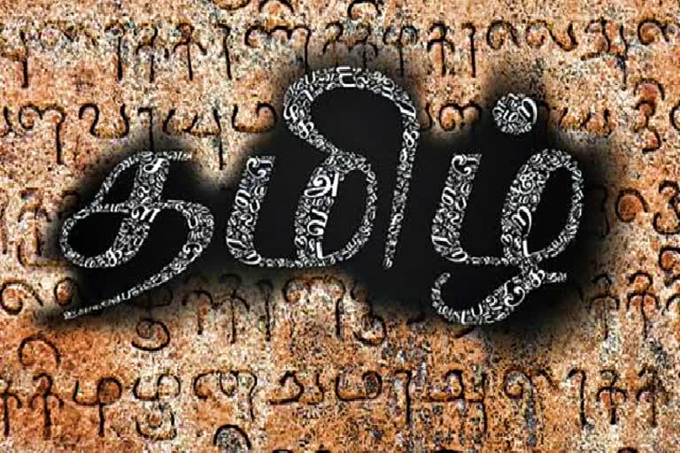 பிற மொழிகளுடனான தமிழ் மொழியின் உறவை அறிந்திட ஆய்வு - பிடிஆர்
