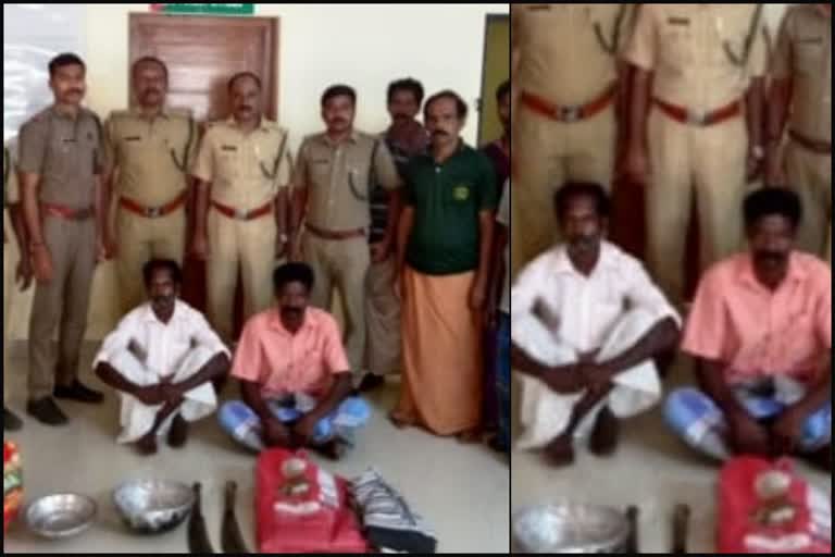 Killed Deer in palakkad three arrested  കലമാനിനെ വേട്ടയാടിക്കൊന്ന സംഭവത്തിൽ മൂന്നുപേർ അറസ്‌റ്റിൽ  തേക്കടി ഒറവൻപാടിയിൽ കലമാനിനെ വേട്ടയാടിക്കൊന്ന സംഭവത്തിൽ മൂന്നുപേർ അറസ്‌റ്റിൽ  പാലക്കാട് ഇന്നത്തെ വാര്‍ത്ത  palakkad todays news