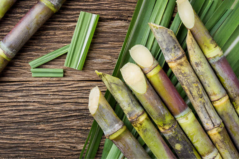 tamilnadu sugarcane farmers