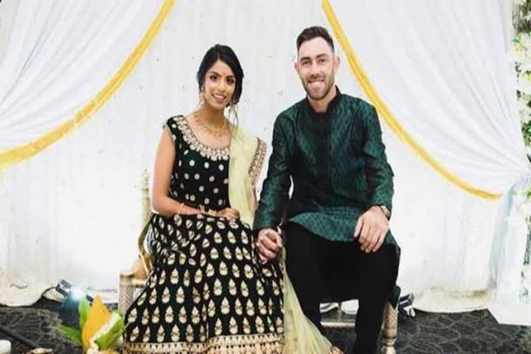 australia cricketer maxwell marriage