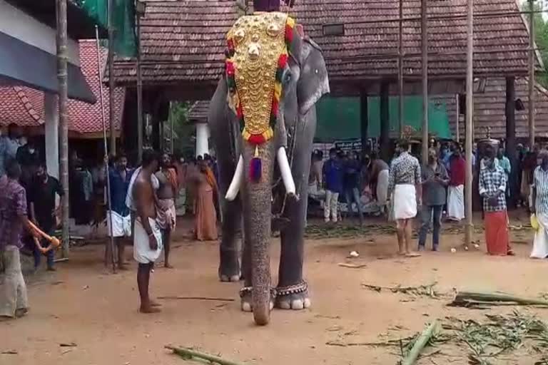 Anayoot in Thirunnakkara mahadeva temple  Thirunnakkara mahadeva temple festival  elephant feasting  തിരുന്നക്കര മഹാദേവ ക്ഷേത്രത്തില്‍ ആനയൂട്ട്  തിരുന്നക്കര മഹാദേവ ക്ഷേത്രത്തിലെ ഉത്സവം