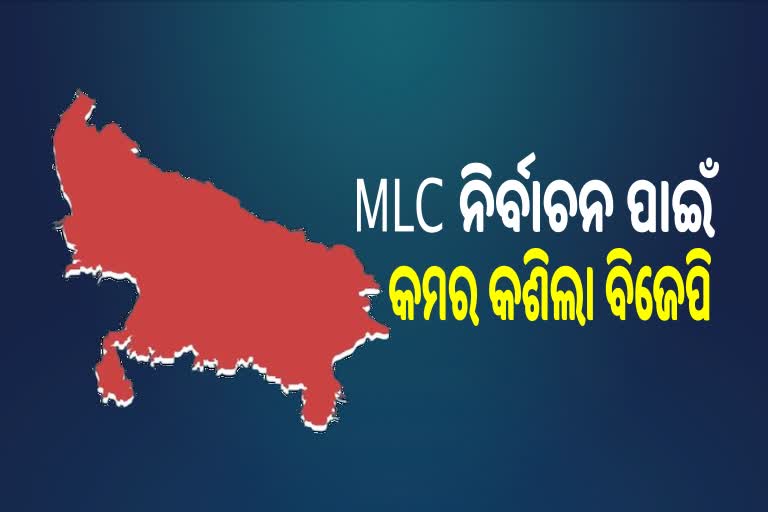 UP MLC Election