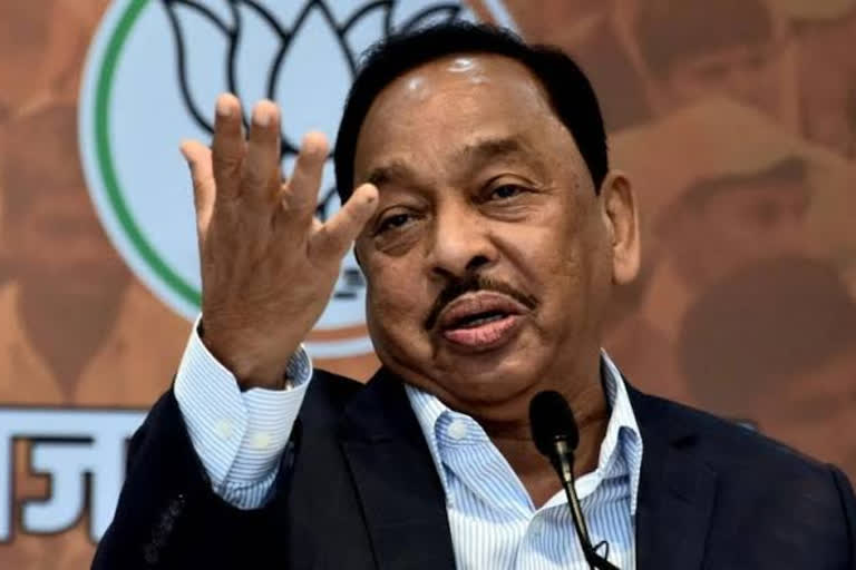 Narayan Rane