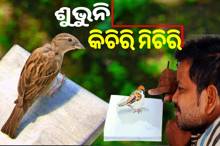 ବିଶ୍ବ ଘରଚଟିଆ ଦିବସ: 3D ଚିତ୍ରରେ ସଚେତନତା ବାର୍ତ୍ତା ଦେଲେ ବାଲୁକାଶିଳ୍ପୀ