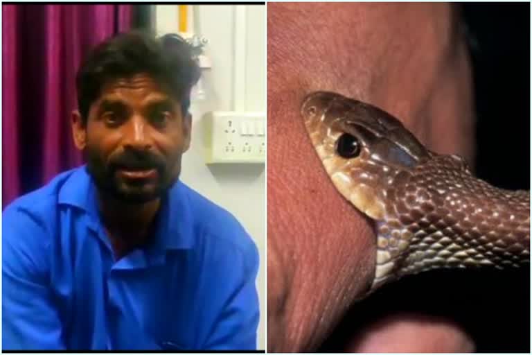 snake bite person anil gaikwad