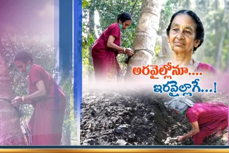 At 68, coconut tree climbing is not a big task for Mariamakutti