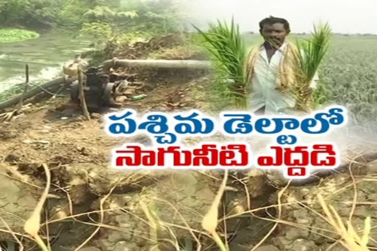 Water problem for agriculture in west godavari