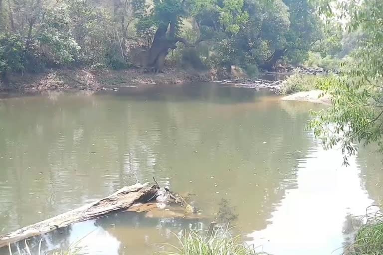 Kaveri River