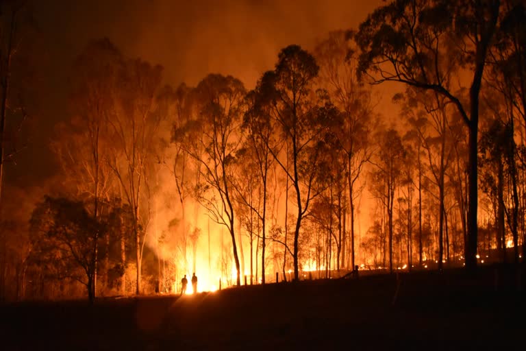 advisory-system-prepared-for-special-alert-24-hours-in-advance-regarding-forest-fire-in-uttarakhand