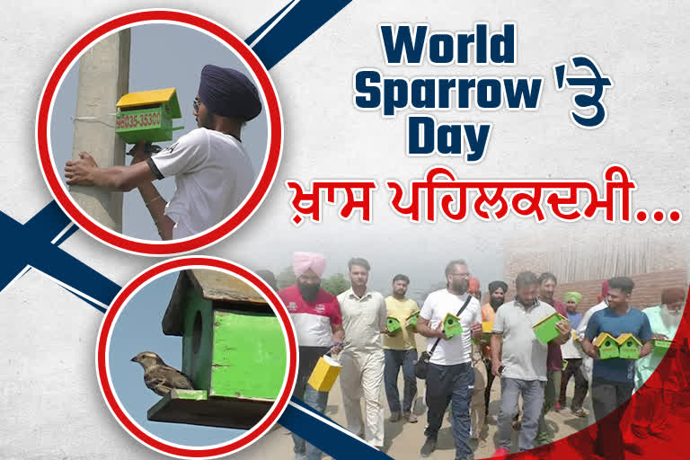 world sparrow day