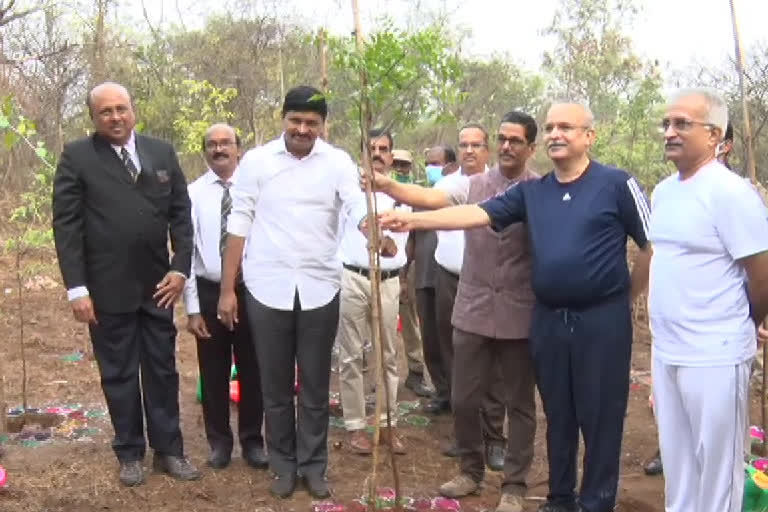 CJ Planted Trees on World Forest Day