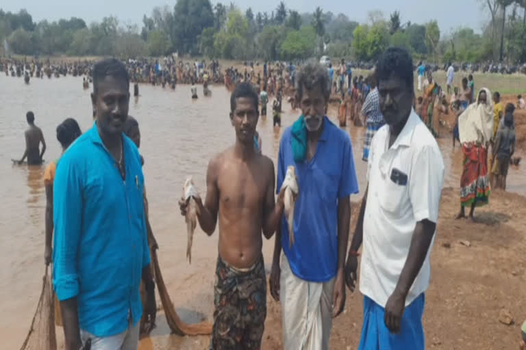 சிவகங்கையில் கண்மாய் பராமரிப்புக்காக நிதி திரட்ட மீன்பிடி திருவிழா!