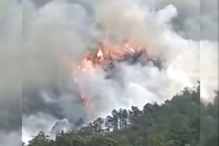 China Eastern Airlines plane carrying 133 passengers crashes in China's Guangxi