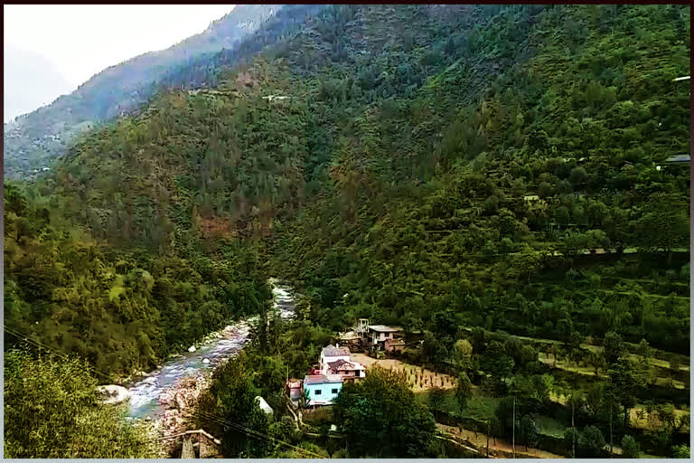 Mandi Forest Department