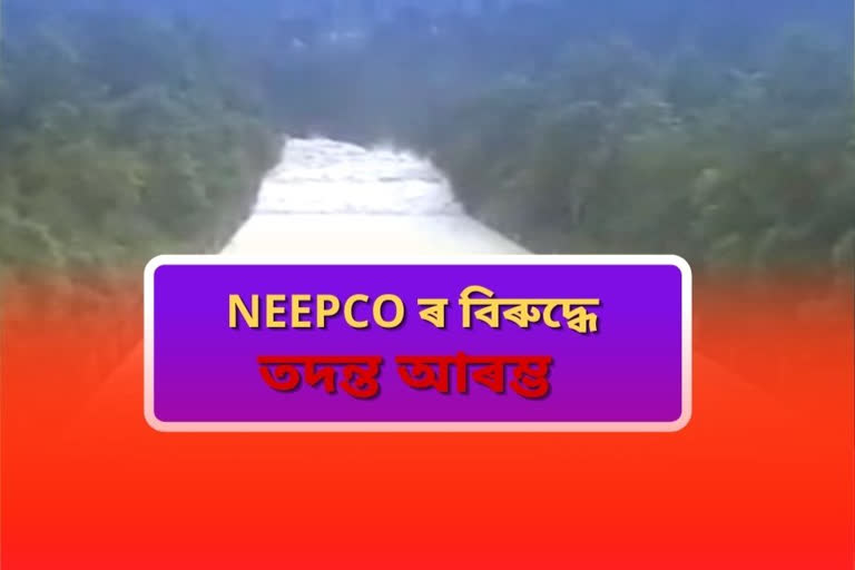 probe launced into case against neepco