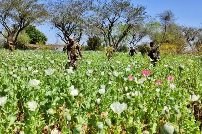 police man getting sick by taking opium in khunti